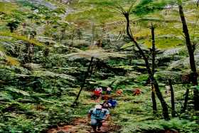 On a rainforest trek on Vitu Levu