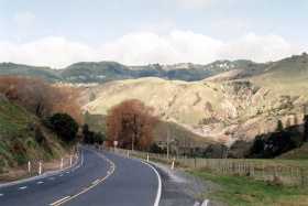 On the road to Napier