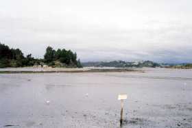 Picturesque Ohiwa Harbour on the eastern Bay of Plenty