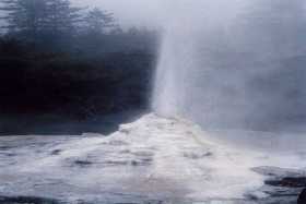 Lady Knox geyser